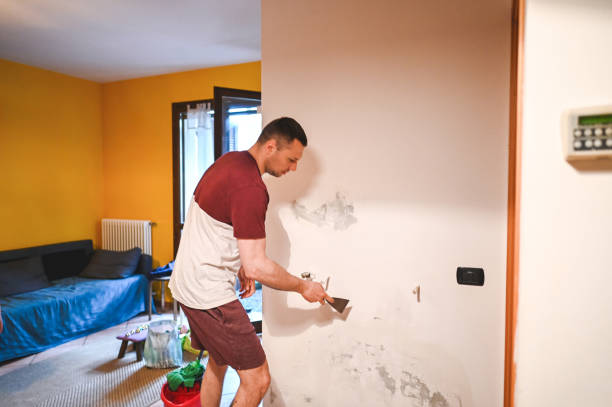 Best Attic Mold Remediation in Greenfield, MN